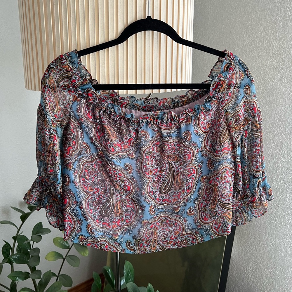 Anna Sui Paisley Print Silk Crop Top